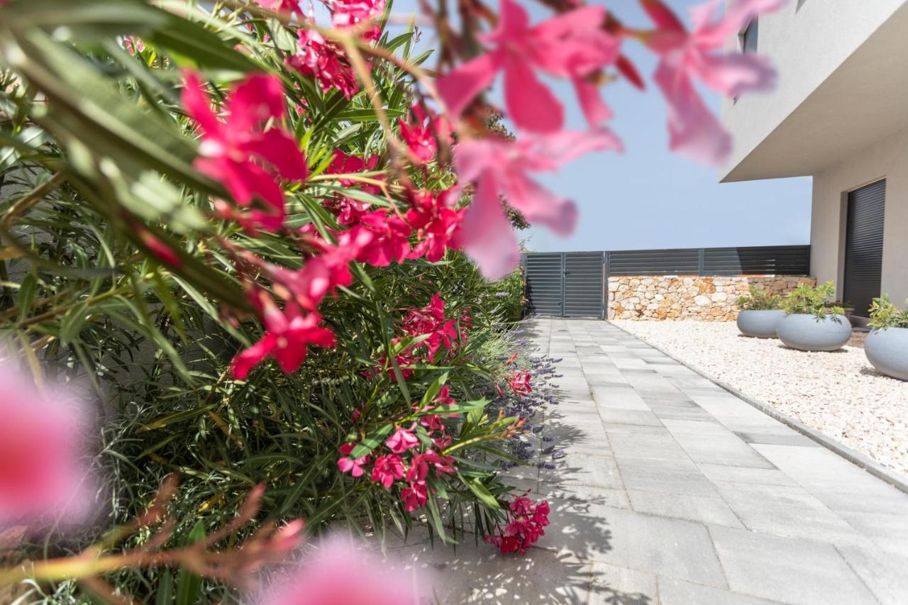 Atena Zaton 2 Apartment Nin Exterior photo